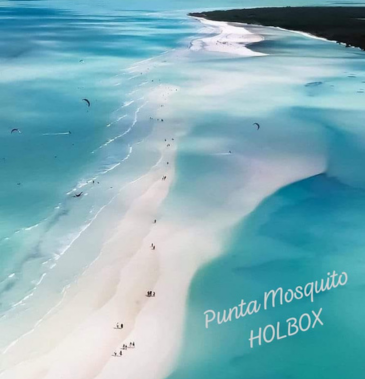 Punto mosquito Holbox